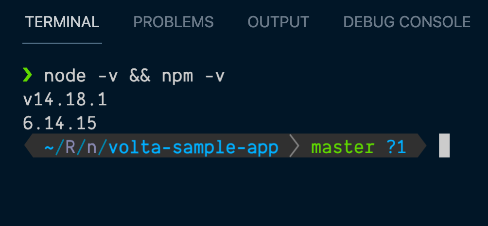 Default versions of Node and npm on local machine