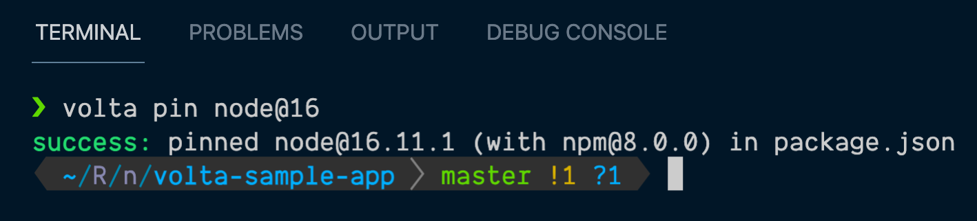 Newly pinned Node version via Volta