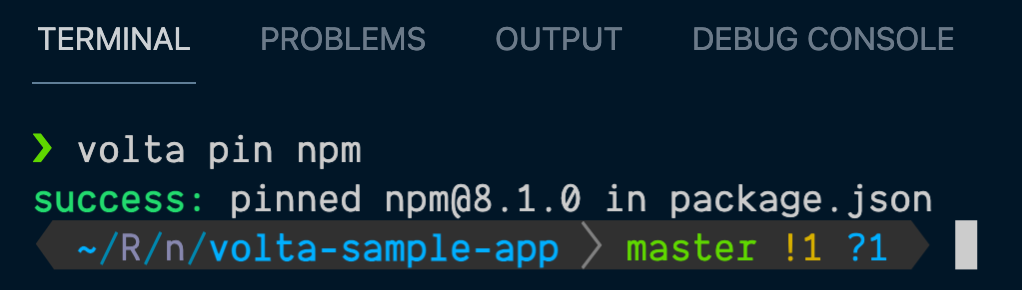 Newly pinned npm version via Volta