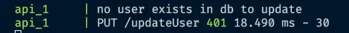 Express error logs