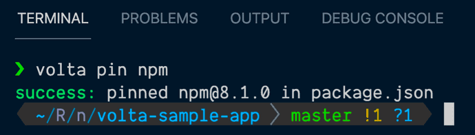 Newly pinned npm version via Volta
