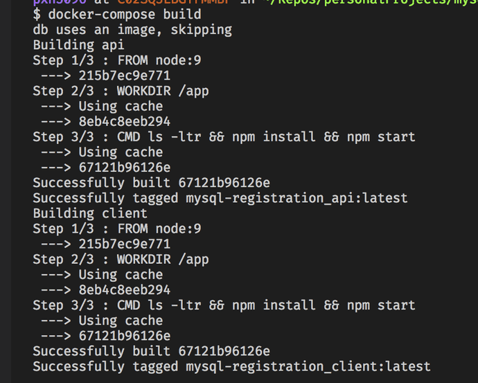 Terminal output in the console from Docker Compose