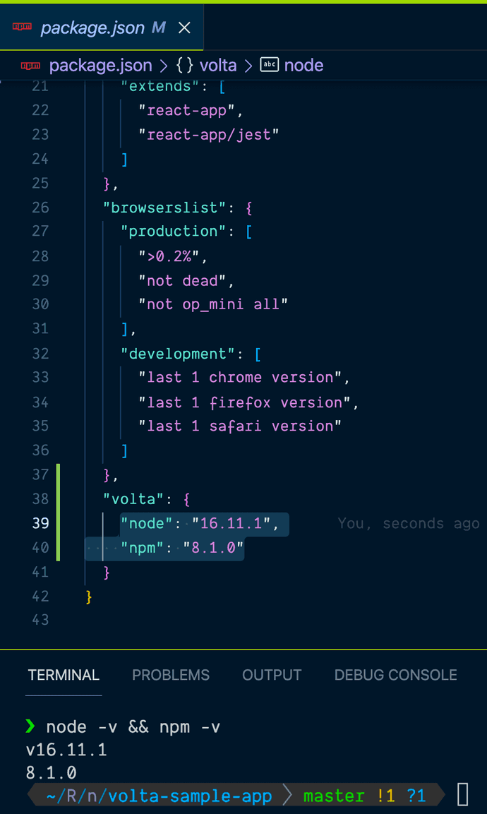 Newly updated package.json with Volta Node and npm versions