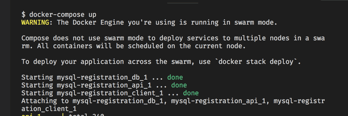 Terminal output in the console for Docker Compose up