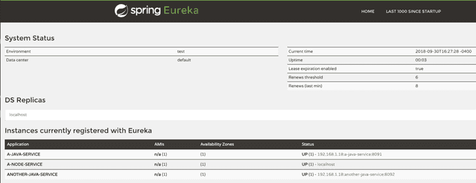 Spring Eureka Registry application